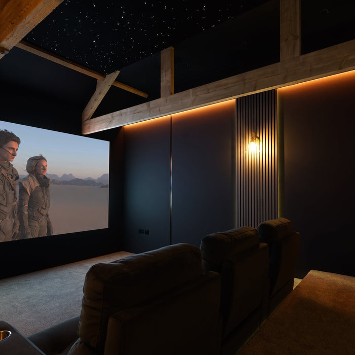 Dedicated home cinema with tiered seating and a Sony projector, illustrating planned seating rows and sightlines