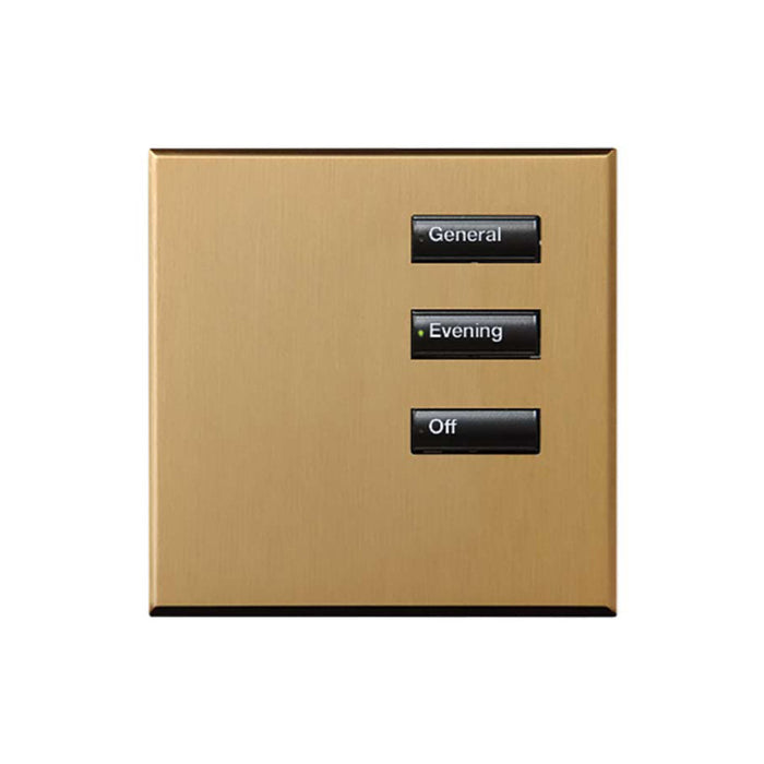 Lutron International Square SeeTouch Keypad (Non-Insert)