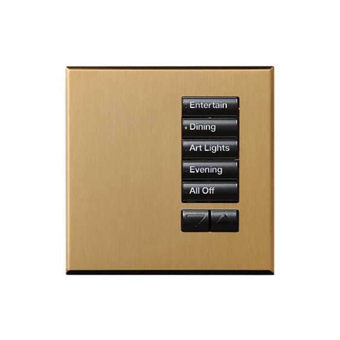 Lutron International Square SeeTouch Keypad (Non-Insert)