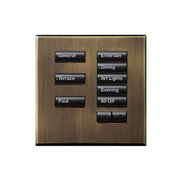 Lutron International Square SeeTouch Keypad (Non-Insert)