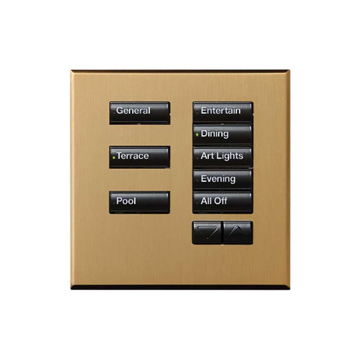 Lutron International Square SeeTouch Keypad (Non-Insert)