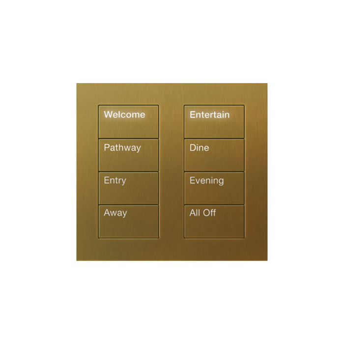 Lutron Square Palladiom Lighting & Shading Keypad (2-Column, 4-Button)