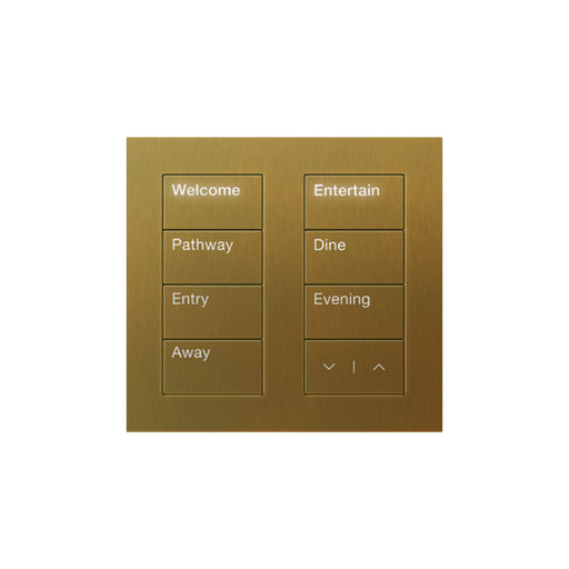 Lutron Square Palladiom Lighting & Shading Keypad (2-Column)