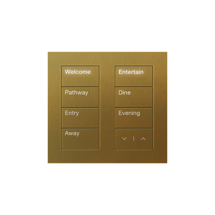 Lutron Square Palladiom Lighting & Shading Keypad (2-Column)