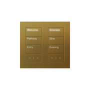 Lutron Square Palladiom Lighting & Shading Keypad (2-Column)