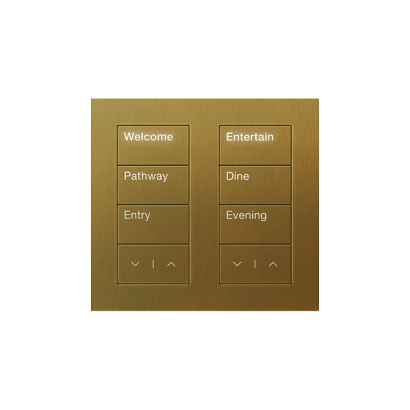 Lutron Square Palladiom Lighting & Shading Keypad (2-Column)