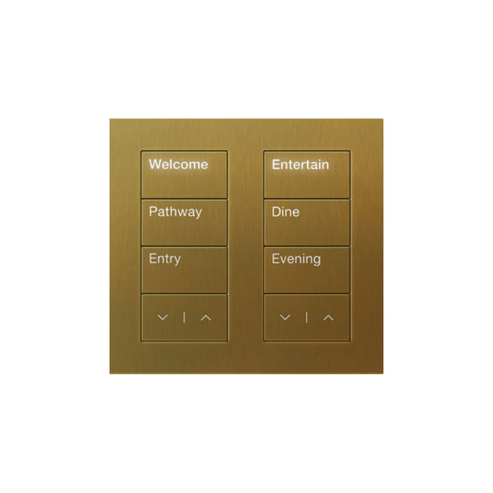 Lutron Square Palladiom Lighting & Shading Keypad (2-Column)