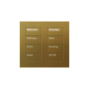 Lutron Square Palladiom Lighting & Shading Keypad (2-Column, 4-Button)