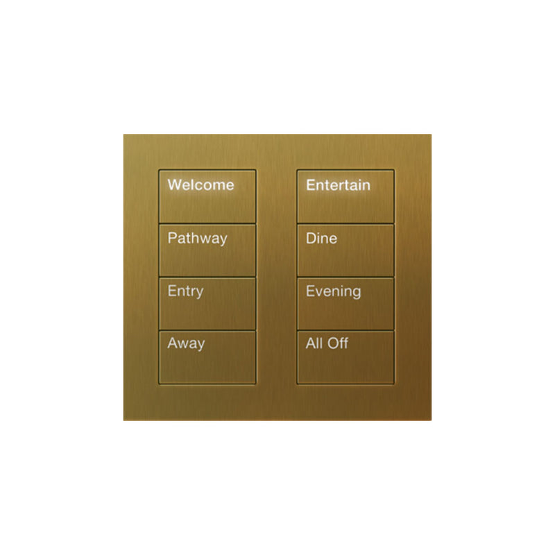 Lutron Square Palladiom Lighting & Shading Keypad (2-Column, 4-Button)