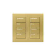 Lutron Square Palladiom Lighting & Shading Keypad (2-Column, 4-Button)