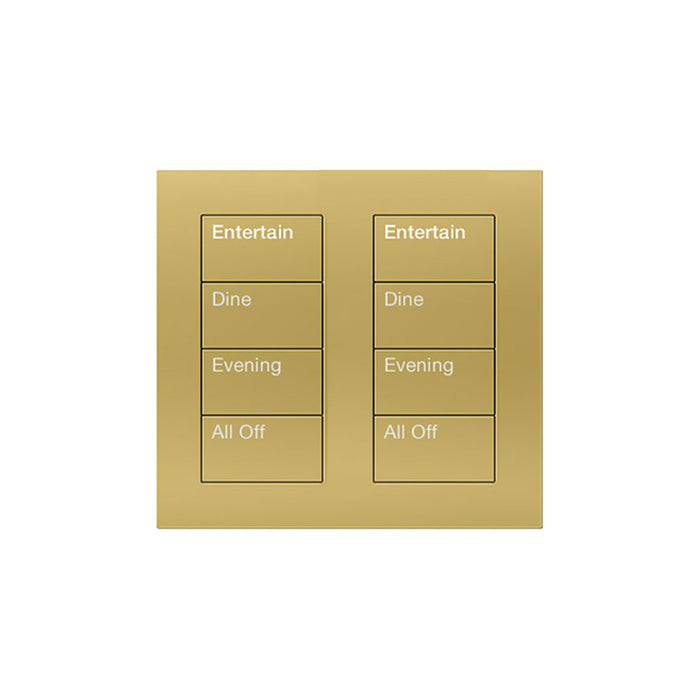 Lutron Square Palladiom Lighting & Shading Keypad (2-Column, 4-Button)