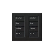 Lutron Square Palladiom Lighting & Shading Keypad (2-Column, 4-Button)