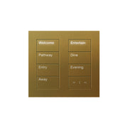 Lutron Square Palladiom Lighting & Shading Keypad (2-Column)