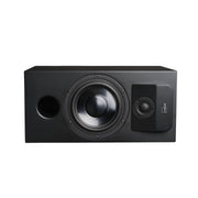 Lyngdorf CS-1 In-cabinet Compact Speaker (Single)